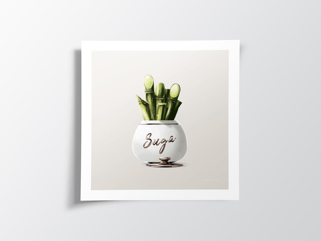 Sugar Cane